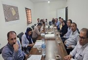 بازدید