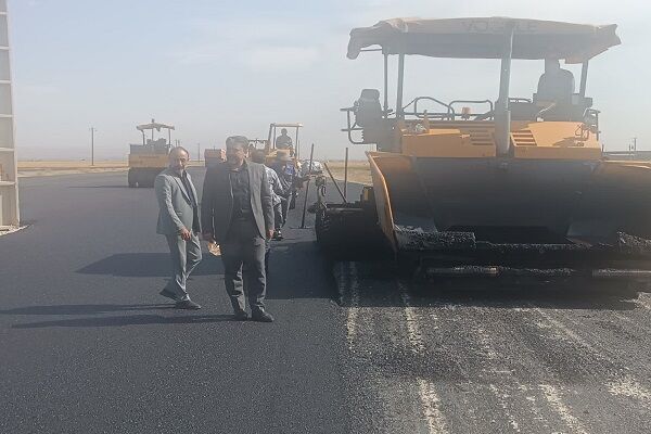 اصله - کاج