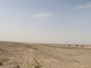 ببینید| بازدید استاندار سیستان و بلوچستان از عملیات ساخت ۳۰ کیلومتر بزرگراه در مسیر زاهدان - بیرجند