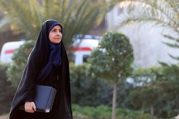 صادق حیاط دولت