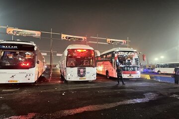 بازگشت روزانه زائران بوشهری با ۶۰ دستگاه اتوبوس