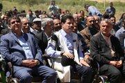 بازدید