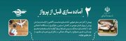 اطلاع نگاشت| آماده‌سازی قبل از پرواز؛ کلید تجربه‌ای آرام و ایمن از سفر هوایی