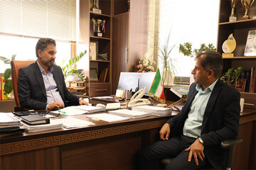 جنوب کرمان شهردار
