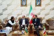 ببینید| ورود《جام کمال خان》وزیر فدرال بازرگانی جمهوری اسلامی پاکستان و هیات همراه به تهران