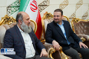 ببینید| ورود《جام کمال خان》وزیر فدرال بازرگانی جمهوری اسلامی پاکستان و هیات همراه به تهران