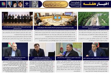 بولتن