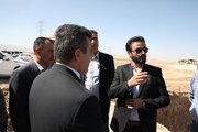 بازديد