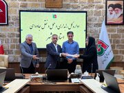 بانوان از نیروهای توانمند و شایسته اداره کل راهداری و حمل و نقل جاده ای بوشهر هستند