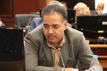 محسن زاده