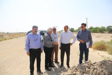 بازدید