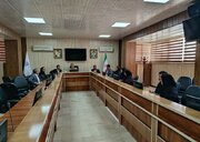 ببینید|برگزاری کمیته فنی کمیسیون ماده ۵ شهر زاهدان و کمیته فنی کارگروه تخصصی امور زیربنایی سیستان و بلوچستان