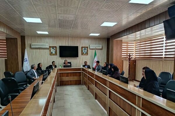 کمیته فنی کارگروه تخصصی امور زیربنایی سیستان و بلوچستان برگزار شد سیستان