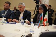 ببینید | دیدار دوجانبه فرزانه صادق وزیر راه و شهرسازی کشورمان با معاون نخست وزیر جمهوری آذربایجان