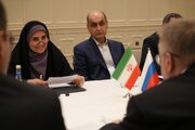 ببینید | دیدار دوجانبه فرزانه صادق وزیر راه و شهرسازی کشورمان با اورچوک، معاون نخست وزیر فدراسیون روسیه
