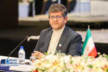 ذاکری