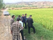 راه و شهرسازی گلستان