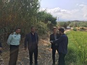 راه و شهرسازی گلستان