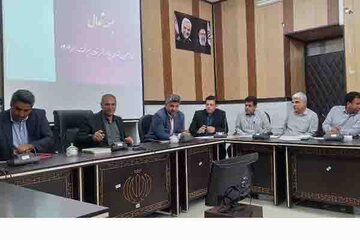 جنوب کرمان افشار