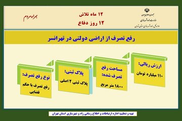 رفع تصرف