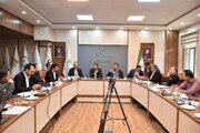 جلسه پیگیری تکمیل پروژه های بهارستان و حکیم الهی سمنان