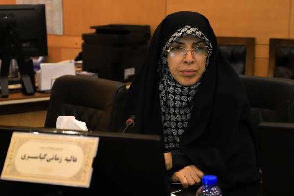 اقدامات فرزانه صادق در حوزه مسکن جلوه‌ای از شکل‌گیری نگاه مادرانه‌ در وزارت راه و شهرسازی است