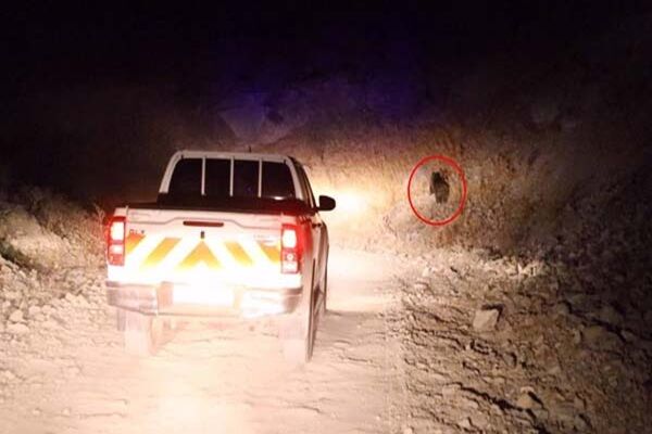 ببینید | بازدید سرپرست اداره کل راهداری و حمل و نقل جاده‌ای استان البرز  از روستاهای پایین طالقان ‌