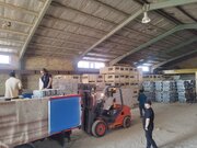 ببینید| یکصد دستگاه آسانسور برای نصب در پروژه های مسکن مهر به خوزستان رسید