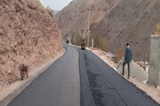 ببینید| ادامه عملیات آسفالت محور روستایی کلارود-گشنادر از توابع جاده کرج کندوان