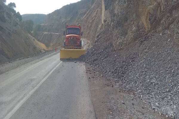 ریزش برداری