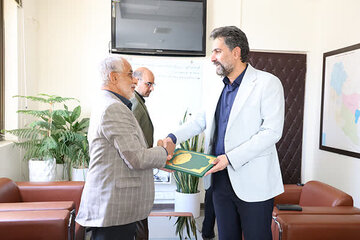 جنوب کرمان 11