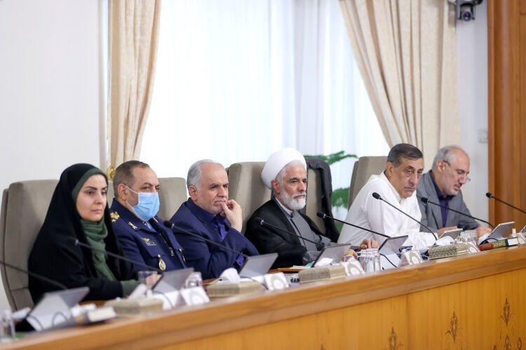 معرفی مدیرعامل شرکت هواپیمایی «ایرانایر» در جلسه هیات دولت