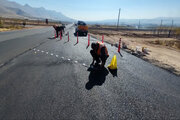 ببینید| عملیات ایجاد لچکی در امتداد مقطع بزرگراهی محور روانسر به سه‌راهی بیاشوش استان کرمانشاه