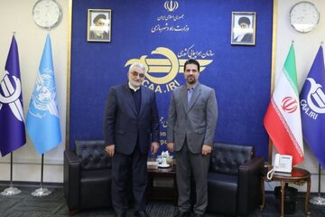 تأکید بر همکاری مؤثر مجلس و سازمان هواپیمایی برای شتاب‌بخشی به توسعه صنعت هوایی