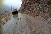 ببینید| ریزش برداری و پاکسازی های پی در پی سطح جاده از سنگریزه و سنگ و جلوگیری از انسداد و اختلال در تردد مسیر جوانرود بان لوان