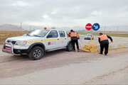 ببینید| ️نصب تابلو و علائم جاده ای در راستای ایمن سازی محور بزرگراه کربلا محدوده حبیبوند و گردنه پاطاق استان کرمانشاه