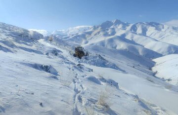 بسیج امکانات استانی و برون‌استانی برای بازگشایی محورهای روستایی سقز