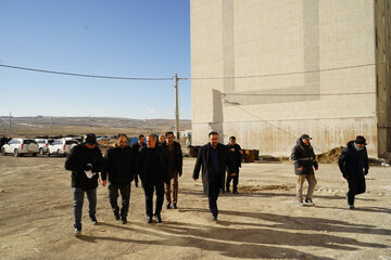 ببینید| بازدید معاون مسکن و ساختمان وزیر راه و شهرسازی از پروژه‌های نهضت ملی مسکن در شهرک شهید سلیمانی اردبیل