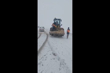 ️ویدیو | بی‌توجهی رانندگان به الزام بستن زنجیرچرخ، امدادرسانی راهداران دالاهو