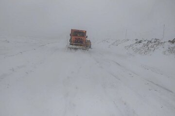 ویدیو | عملیات برف روبی و بازگشایی محور صحنه به سنقر و کلیایی در گردنه خدابنده لو با تلاش راهداران شهرستان صحنه، استان کرمانشاه