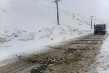 ببینید|تلاش راهداران شهرستان سردشت در برف روبی محورهای مواصلاتی