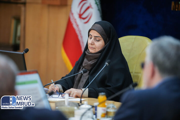 ببینید|جلسه بررسی موضوعات مرتبط با حوزه مسکن با حضور وزیر راه و شهرسازی و رئیس مرکز پژوهش‌های مجلس