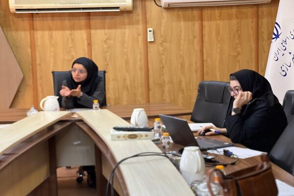 بررسی ۸ پرونده در کمیسیون فنی ماده ۵ گناوه/تأکید بر رعایت ضوابط شهرسازی