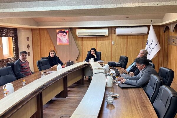 جلسه کمیته کار کمیسیون شهر بوشهر