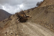 ببینید| رفع انسداد راه روستایی لشکرگاه و رمه رو مسیر جوانرود _بانی لوان استان کرمانشاه