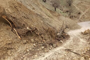 ببینید| رفع انسداد راه روستایی لشکرگاه و رمه رو مسیر جوانرود _بانی لوان استان کرمانشاه