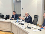 ببینید|دیدار فرزانه صادق وزیر راه و شهرسازی با پرویز شهبازف وزیر انرژی کشور آذربایجان