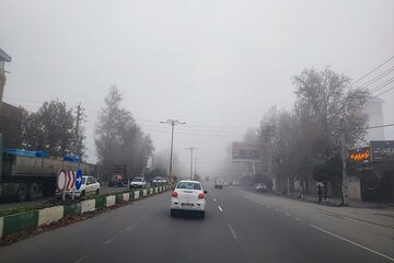 گلستان