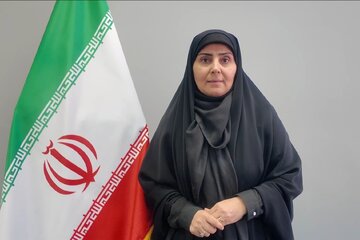 وزیر