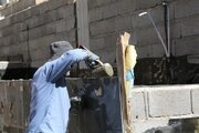 بازديد